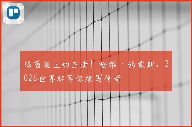 绿茵场上的王者!哈维·西蒙斯,2026世界杯等你续写传奇