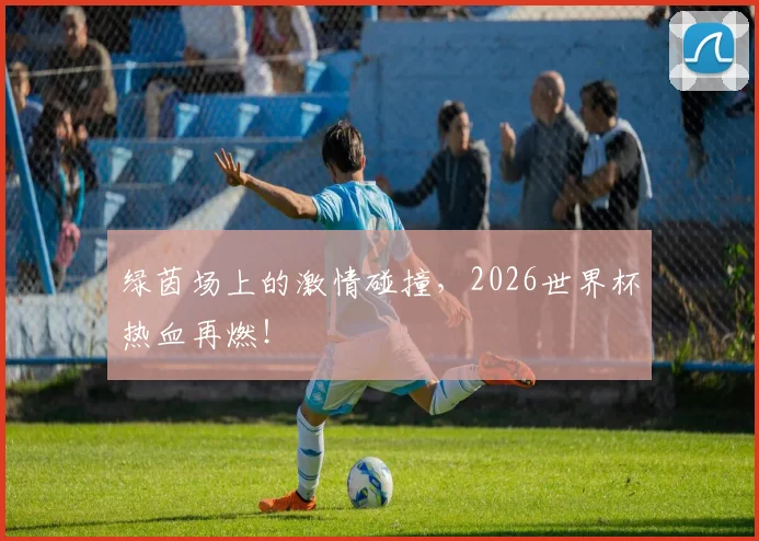 绿茵场上的激情碰撞，2026世界杯热血再燃！